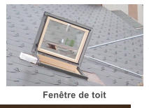 Fentre de toit